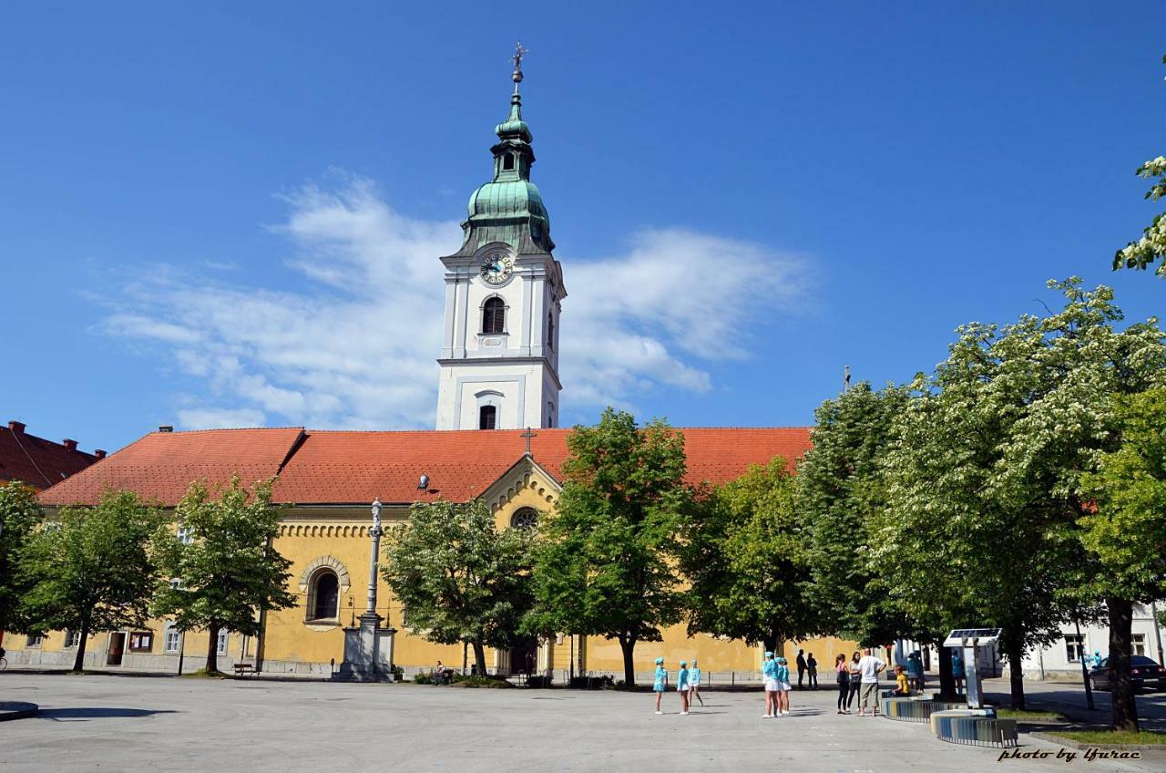 Apartman Gobac Karlovac Bagian luar foto